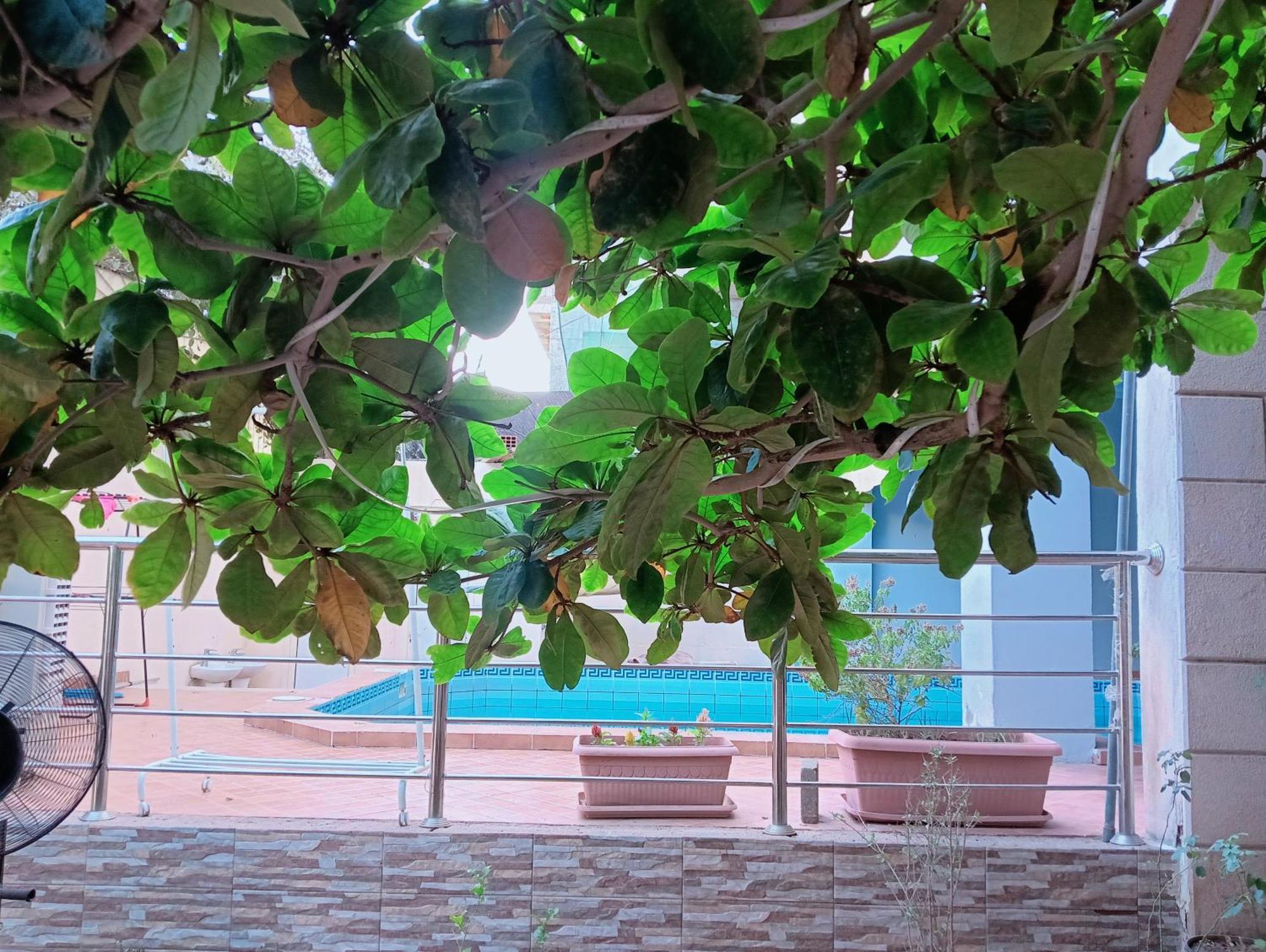 Villa Marmara Μεδίνα Εξωτερικό φωτογραφία